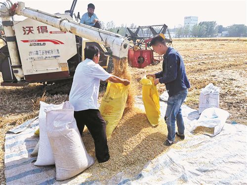 <b>徐州沛县“三夏”机收战正酣 加快小麦收割进度</b>