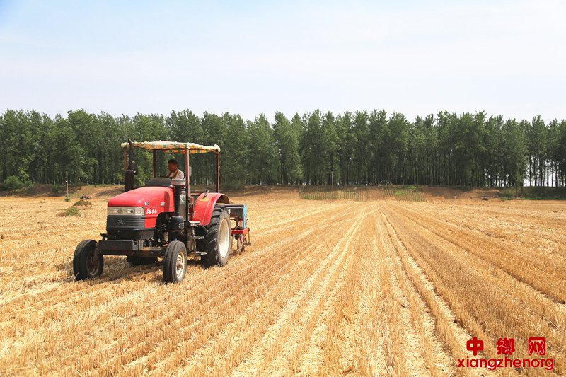 <b>安徽颍东：芒种时节播种忙</b>