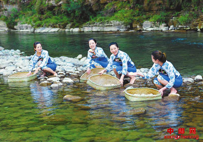 <b>四川通江县：银耳花开 农家增收</b>