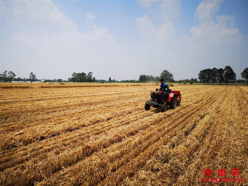<b>河南累计夏播面积超7656万亩</b>