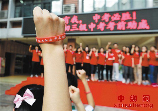 <b>名师为考生支招：全科目提分攻略</b>