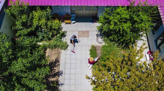 <b>河北文安：美丽庭院扮靓乡村</b>