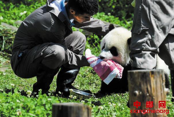 <b>组图：我有一个好爸爸</b>