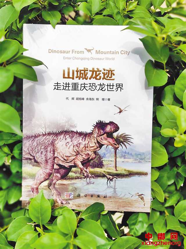 云阳发现恐龙新属种 揭秘化石墙发现全过程