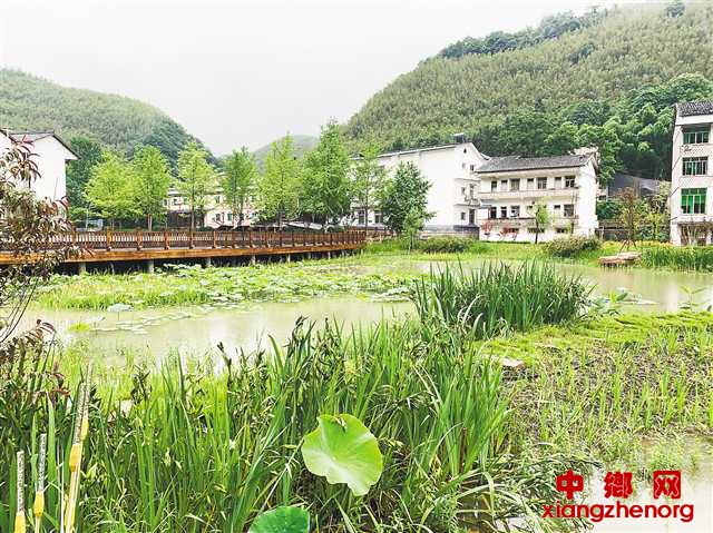 <b>让小微湿地成为乡村振兴的“点睛之笔”</b>