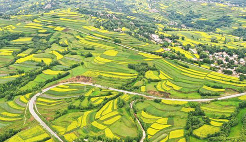 <b>山乡“镶金” 田园如画</b>