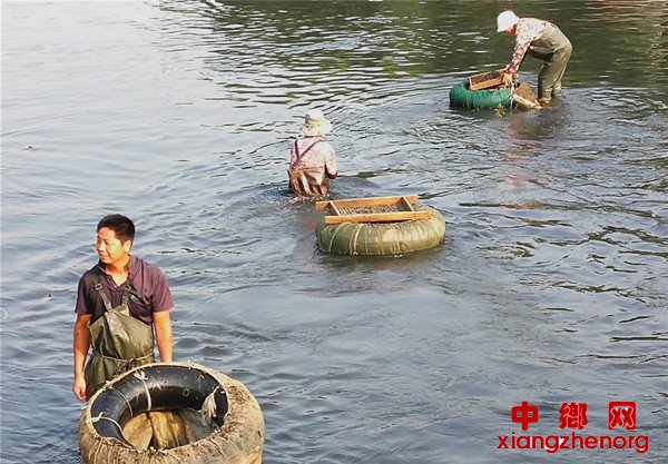 <b>郯城：农民“干渠”里掏出“金”</b>