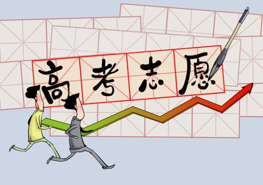 <b>近八成00后受访者按自己想法填报高考志愿</b>