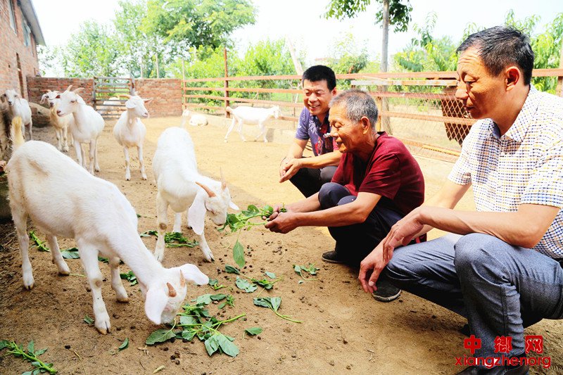 <b>安徽颍东：进村入户送技术</b>