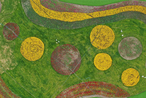 <b>张北坝上打造田园综合体</b>