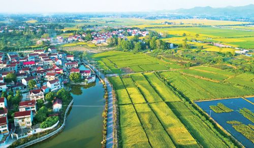 <b>安徽怀宁农田建设获中央资金支持</b>