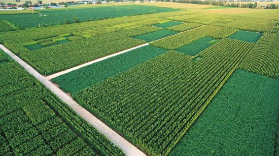 <b>黑土地保护：风起梨树 声动八方</b>