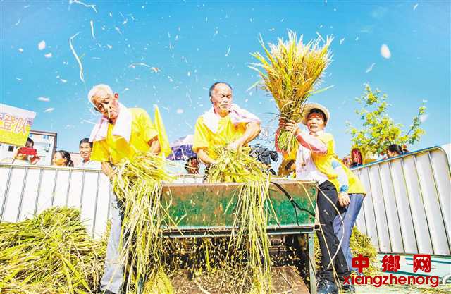 <b>丰收之都 喜庆丰收</b>