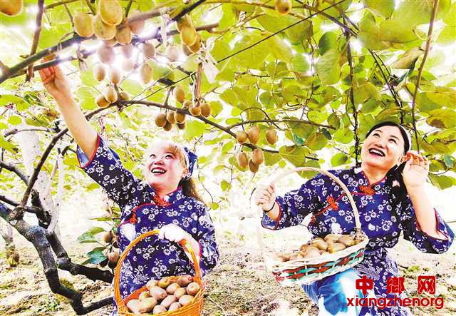 <b>重庆万盛：猕猴桃产业助农增收</b>