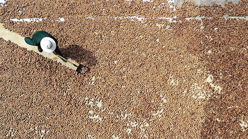 <b>核桃丰收乐农家</b>