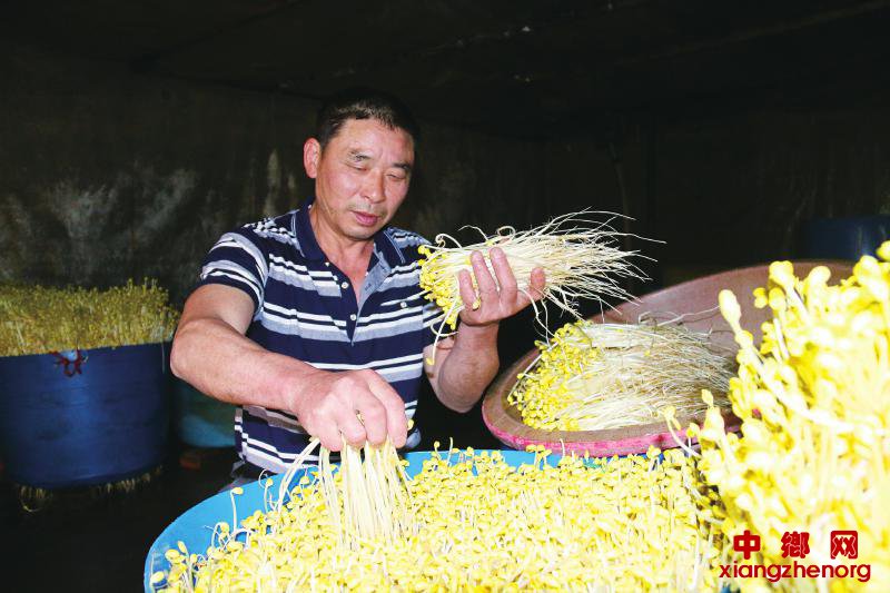 <b>四川泸州：种植豆芽发家</b>