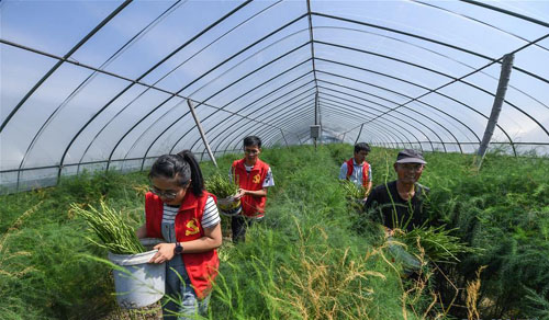 <b>党员下基层 服务零距离</b>