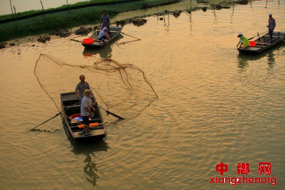 <b>江苏洪泽：围绕“蟹”字文章 干出乡村名堂</b>