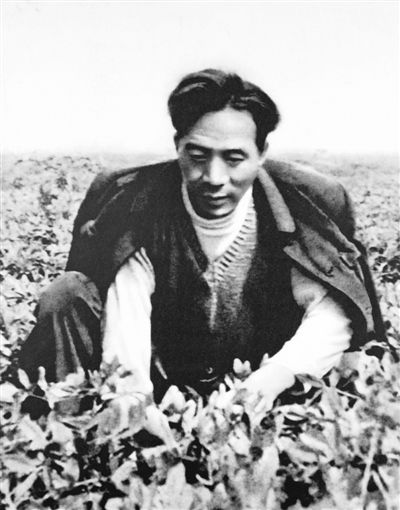 <b>县委书记的好榜样（最美奋斗者）</b>