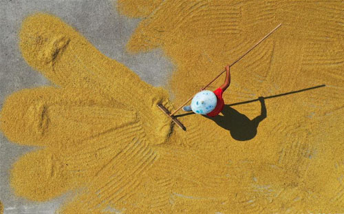 <b>向农民致敬，为丰收颂歌</b>