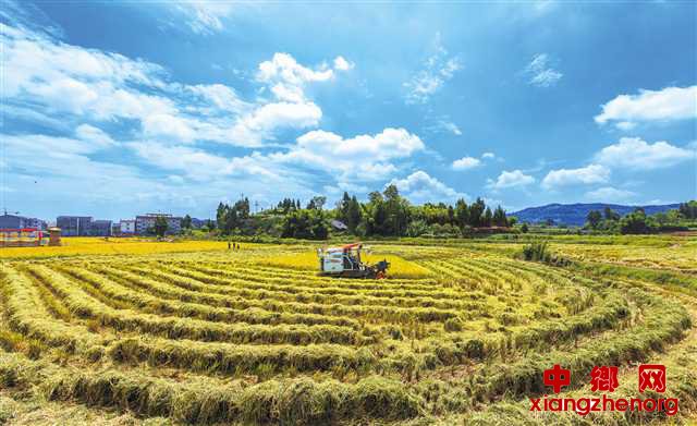 <b>重庆合川：村美民富产业旺 乡村振兴奏华章</b>