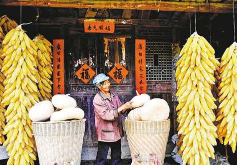 <b>农家丰收景</b>