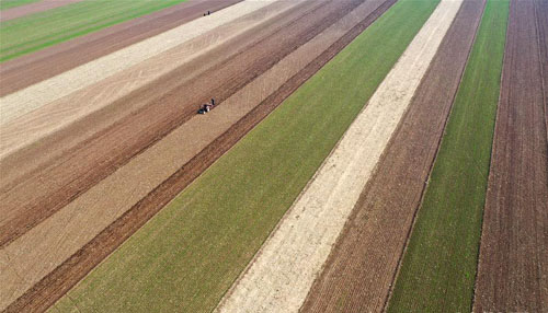 <b>河南宝丰：秋日农事忙</b>