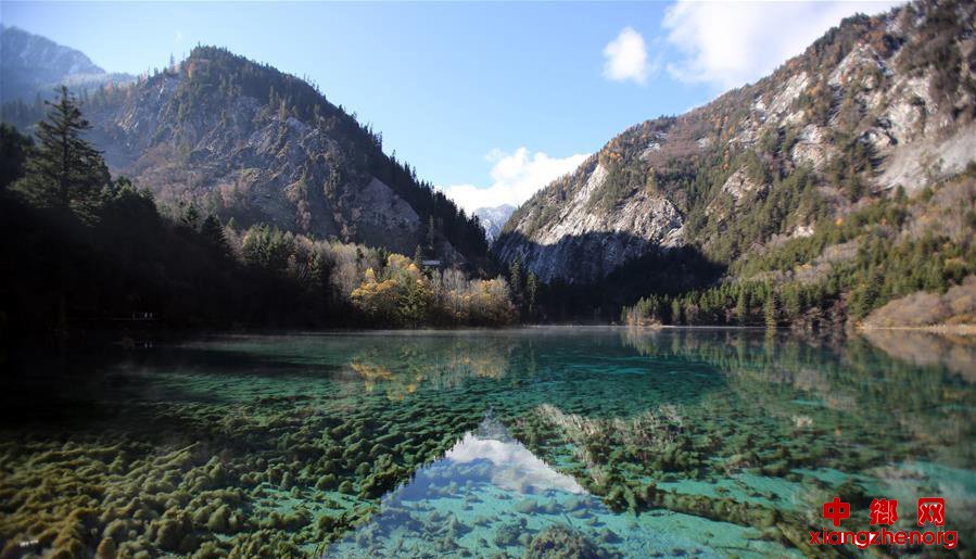 九寨沟秋景醉游人