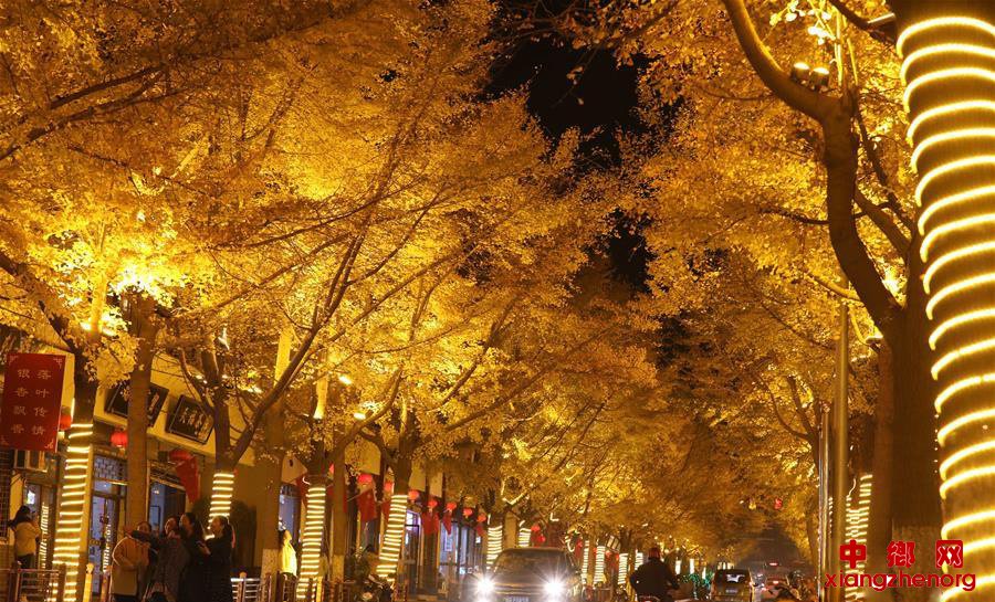 “黄金大道”炫彩天水