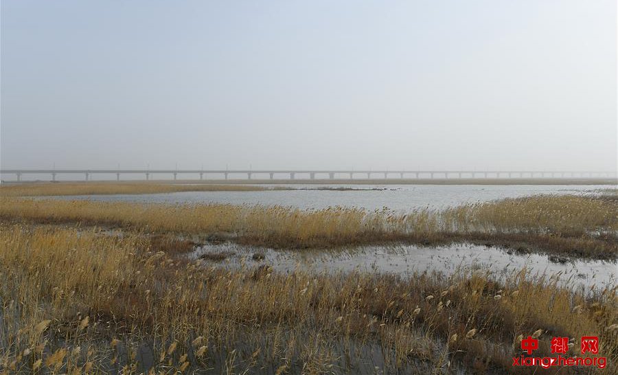 长桥飞架构筑绿色出疆南通道