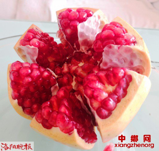 河南洛阳新安县十里村：“可以喝”的富硒石榴