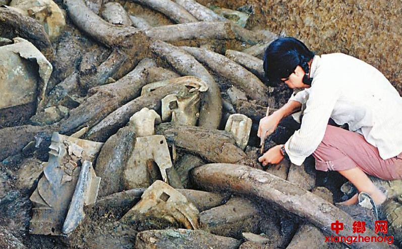 <b>三星堆发现90年 古蜀文明之门从这里打开</b>