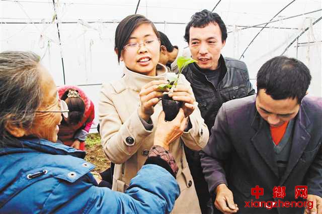 <b>掏出嫁妆建大棚 带出全国示范村</b>