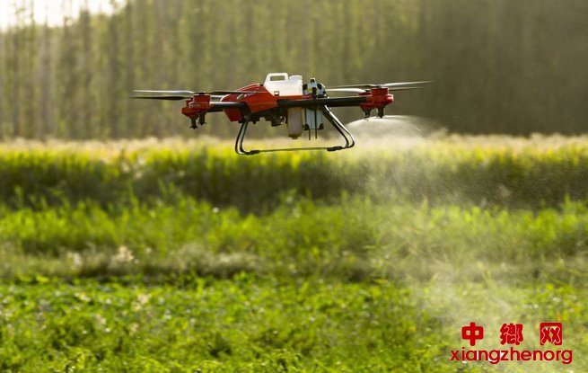 <b>农业农村部：我国化肥农药利用率正稳步提高</b>