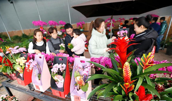 <b>山东即墨：“订单花卉” 助力乡村振兴</b>