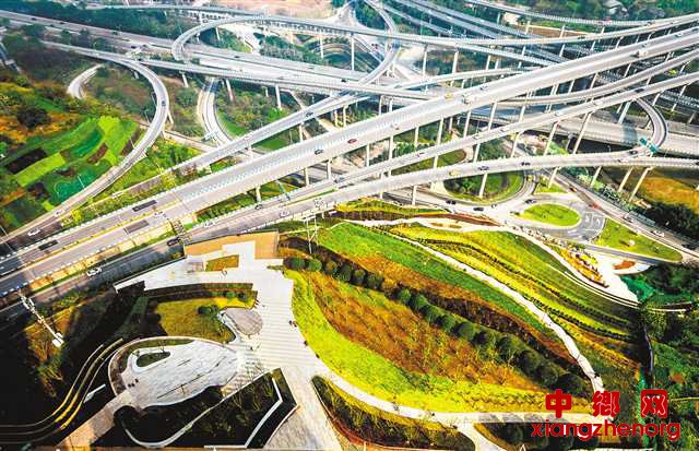 <b>城市闲置地变绿地花海</b>