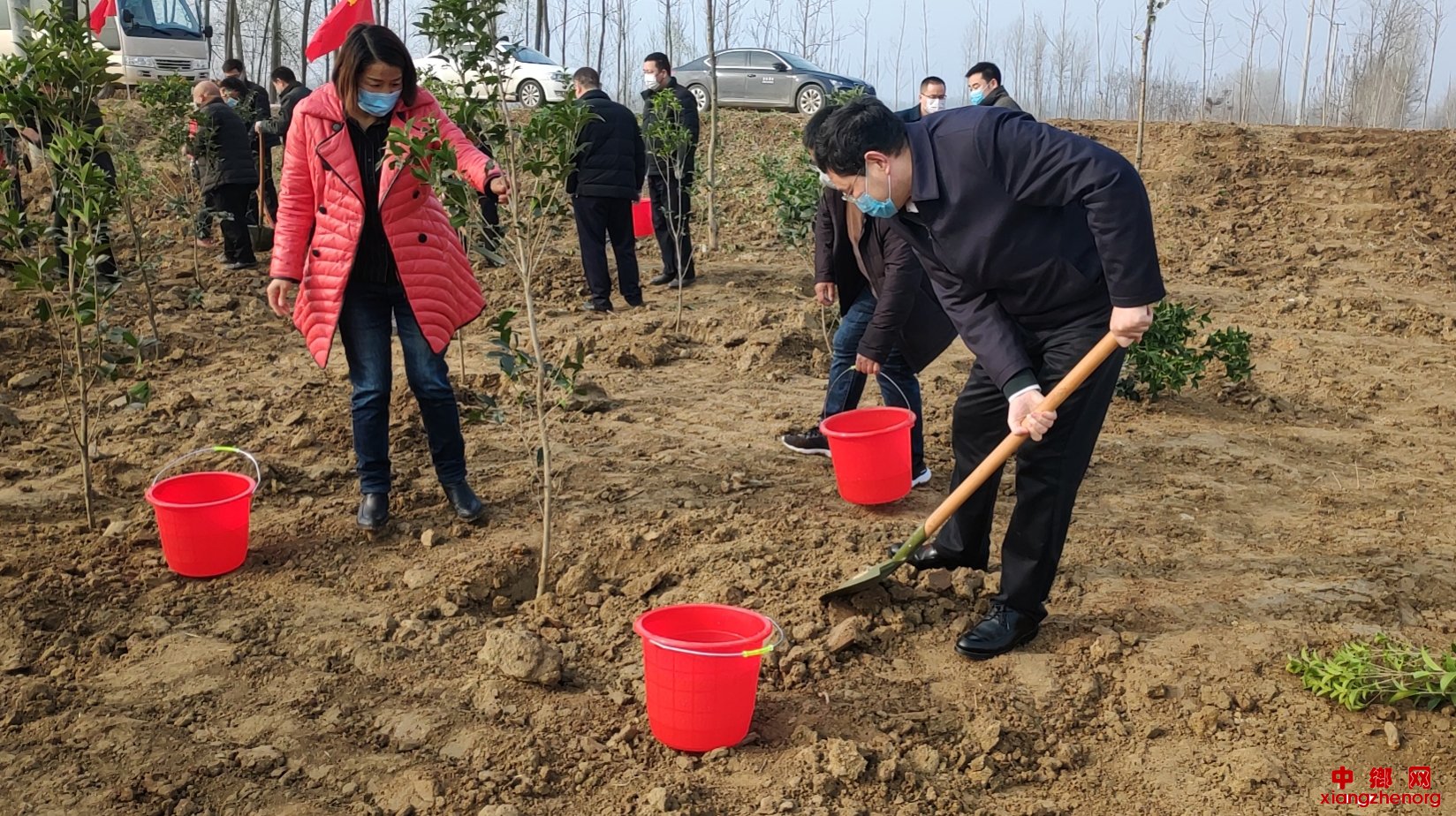 <b>安徽：“党建+绿化”，防疫植树两不误</b>