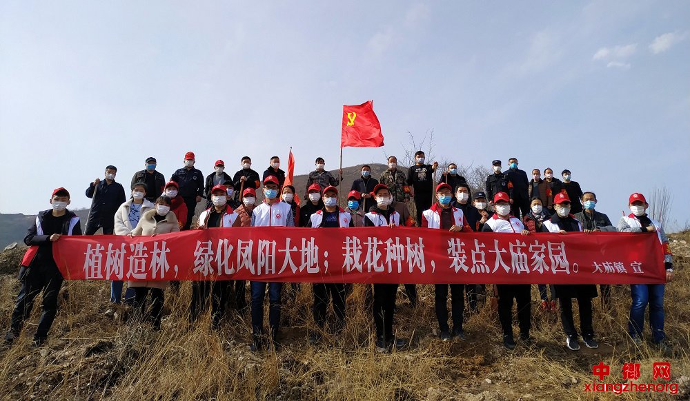 <b>安徽凤阳县大庙镇组织镇党员干部开展义务植树活动</b>