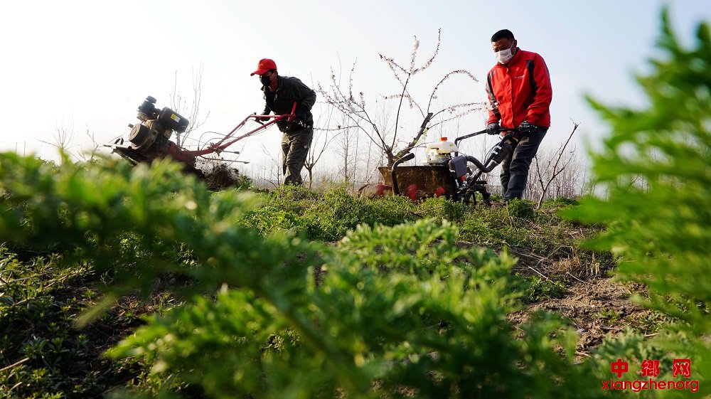 安徽颍东：春回大地耕作忙