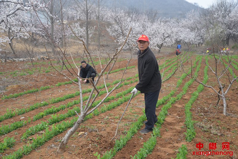 <b>山坡经济富农家</b>