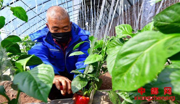 <b>抓紧农时忙春耕</b>