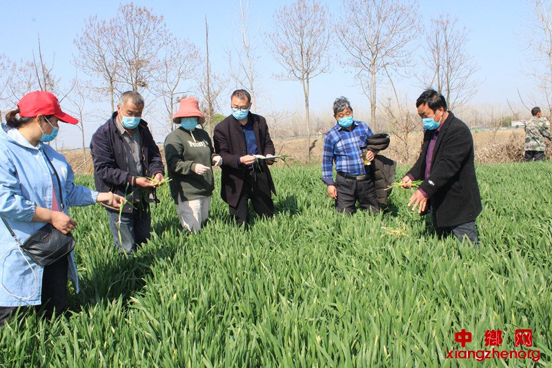 <b>农技服务送到田间地头</b>