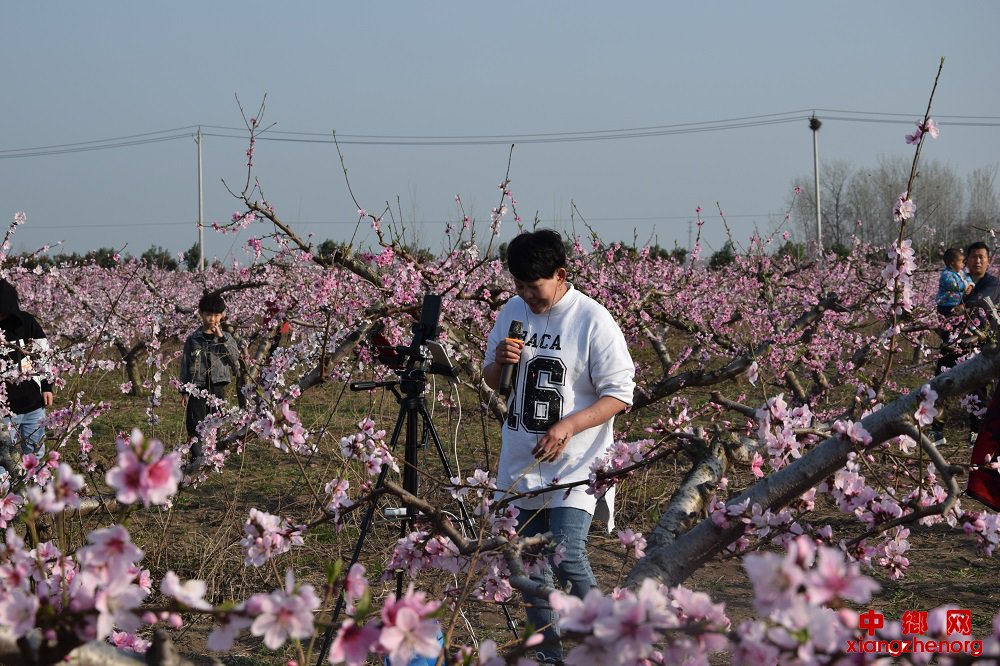 <b>安徽：桃花源里游人醉</b>