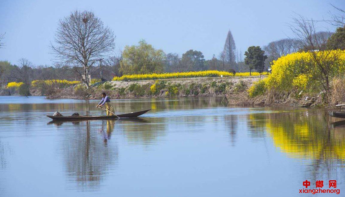 <b>安徽省谯城区魏岗镇：水清路净醉春色 小园花香人正忙</b>