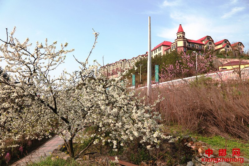 <b>重庆巫山：摩天岭森林康养小镇似仙境</b>