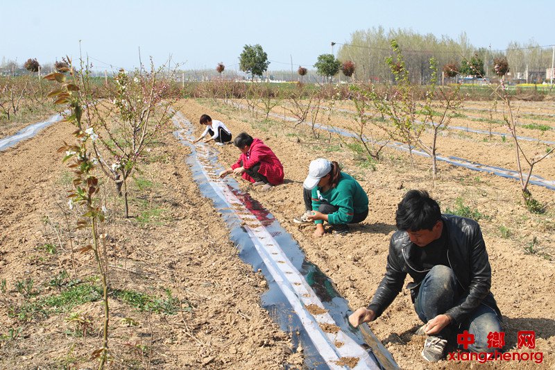 <b>春暖花开育苗忙</b>