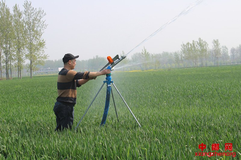 <b>全力抗旱保丰收</b>