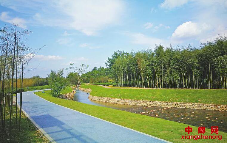 <b>美丽乡村 垃圾去哪儿了</b>