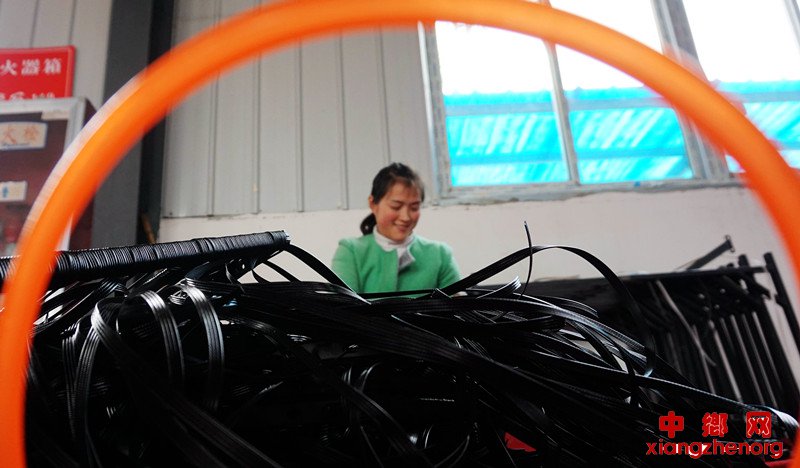 <b>安徽颍东：产业进村助增收</b>