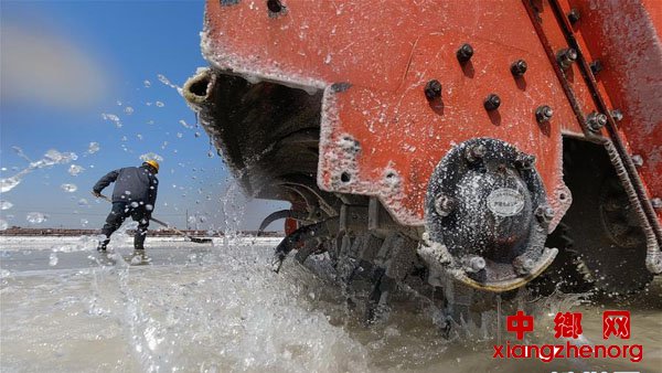 又是春盐收获时